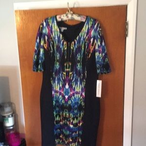MAGGY LONDON size 14 Lined zip up dress NWT